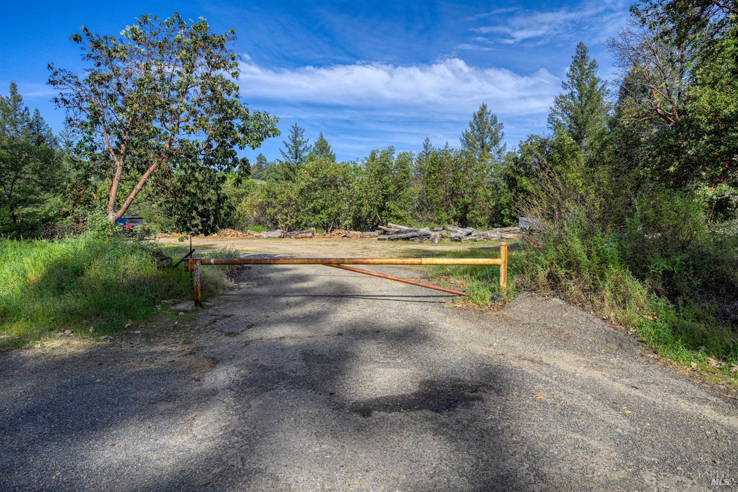 12300 Skaggs Springs Road Geyserville, CA 95441 - Photo 3 of 68 a view of yard with outdoor space