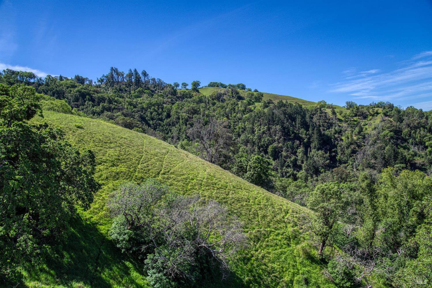 12300 Skaggs Springs Road Geyserville, CA 95441 - Photo 43 of 68 Looking West from home.