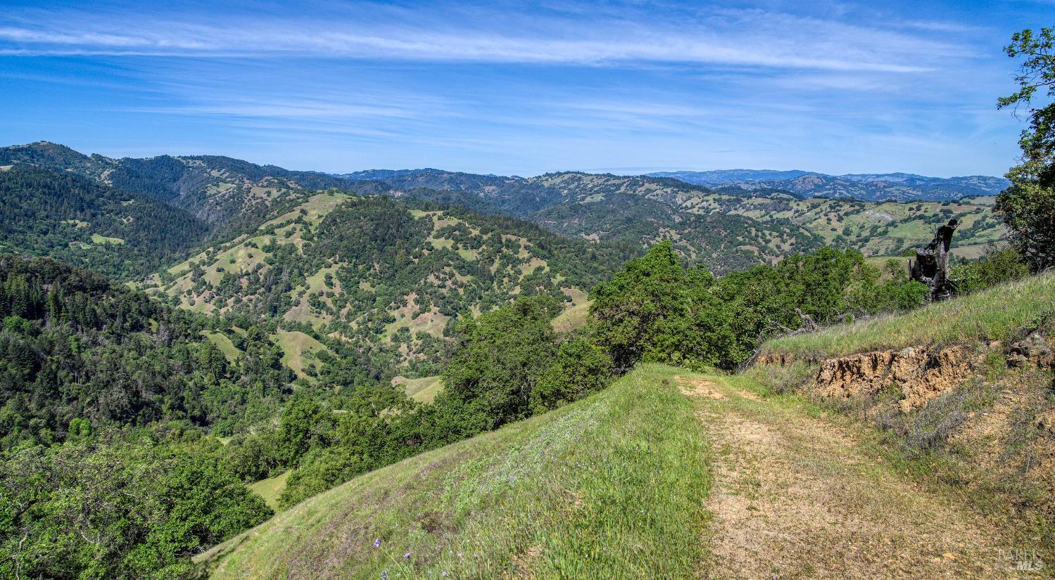12300 Skaggs Springs Road Geyserville, CA 95441 - Photo 44 of 68 a view of a field with mountains in the background