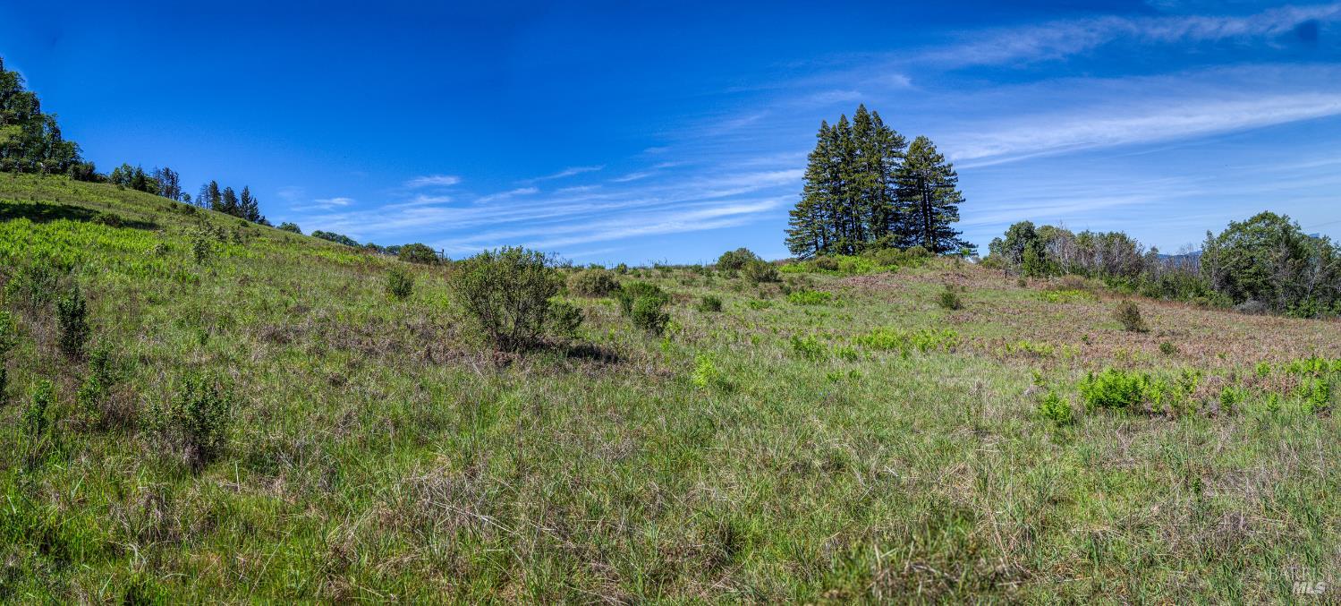 12300 Skaggs Springs Road Geyserville, CA 95441 - Photo 45 of 68 a view of a yard