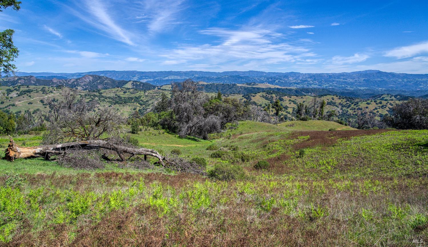 12300 Skaggs Springs Road Geyserville, CA 95441 - Photo 46 of 68 a view of a lush green outdoor space with a swimming pool