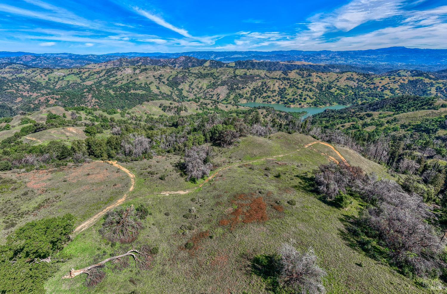 12300 Skaggs Springs Road Geyserville, CA 95441 - Photo 58 of 68 a view of a yard with an outdoor space