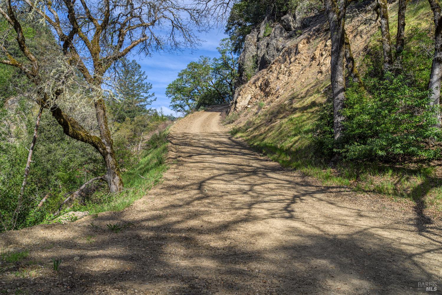 12300 Skaggs Springs Road Geyserville, CA 95441 - Photo 7 of 68 a view of a yard with a tree
