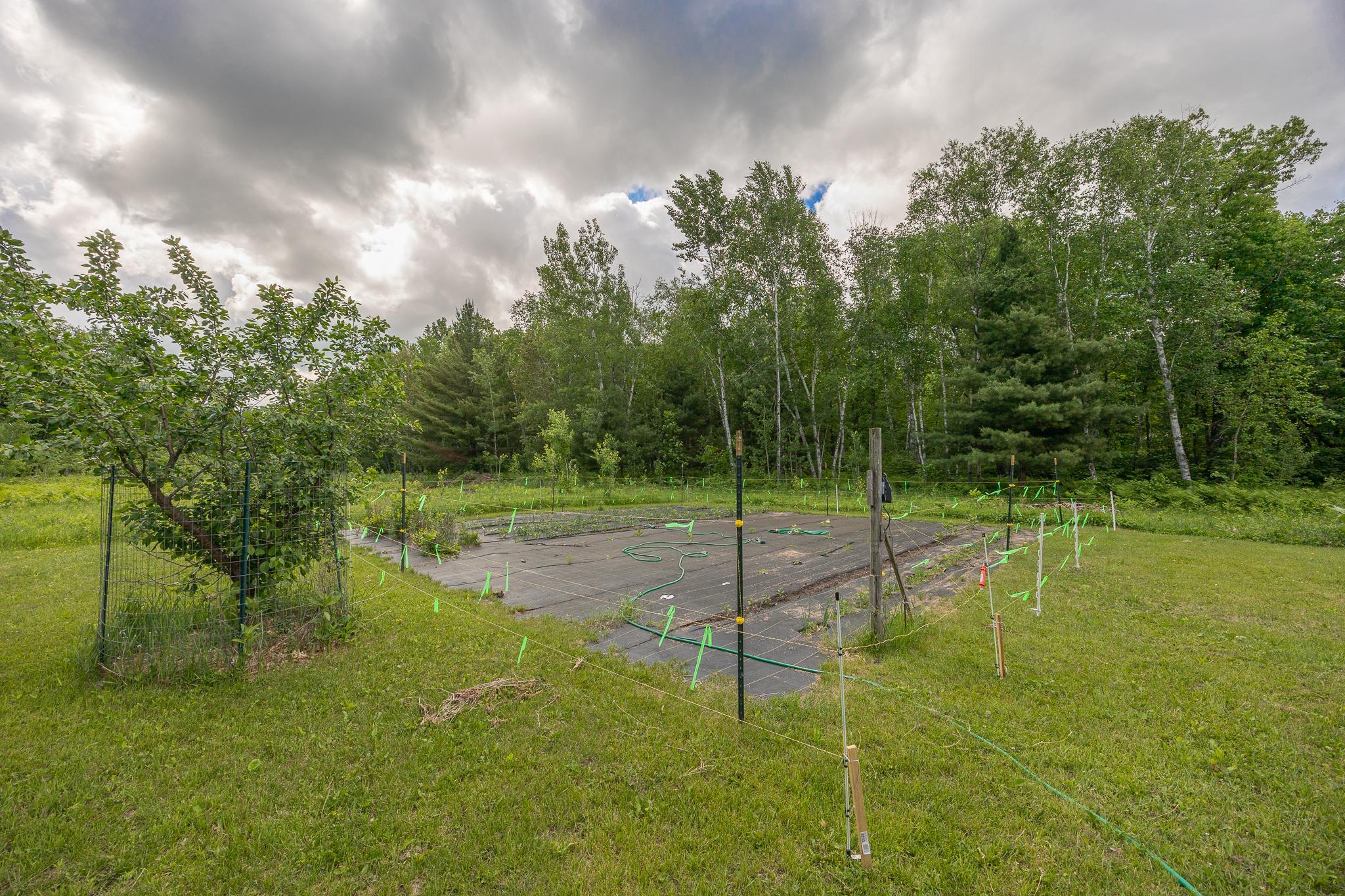 2251 Fahrenholz Road Northeast Longville, MN 56655 - Photo 51 of 62