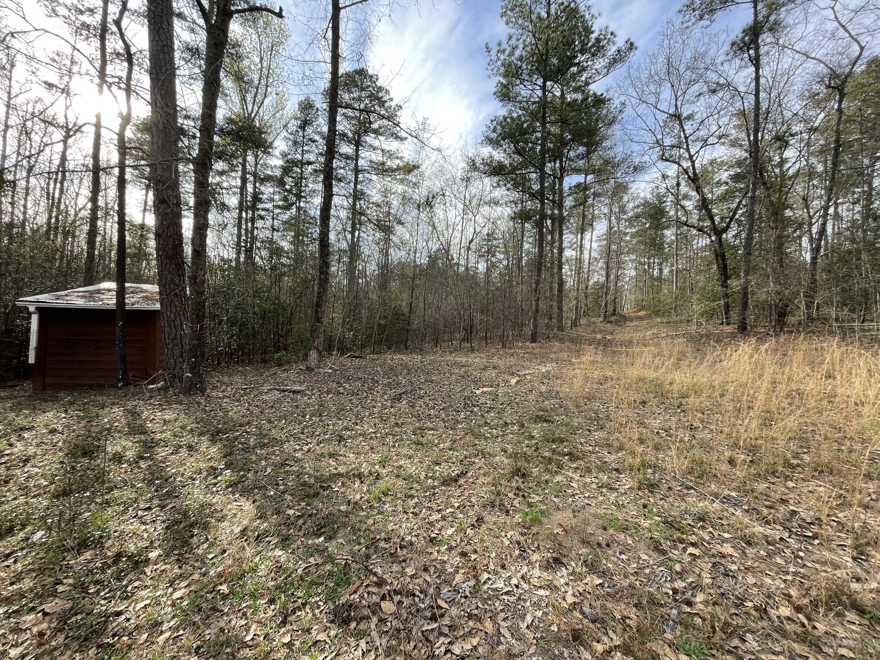 324 Girl Scout Camp Road Trenton, SC 29847 - Photo 21 of 26