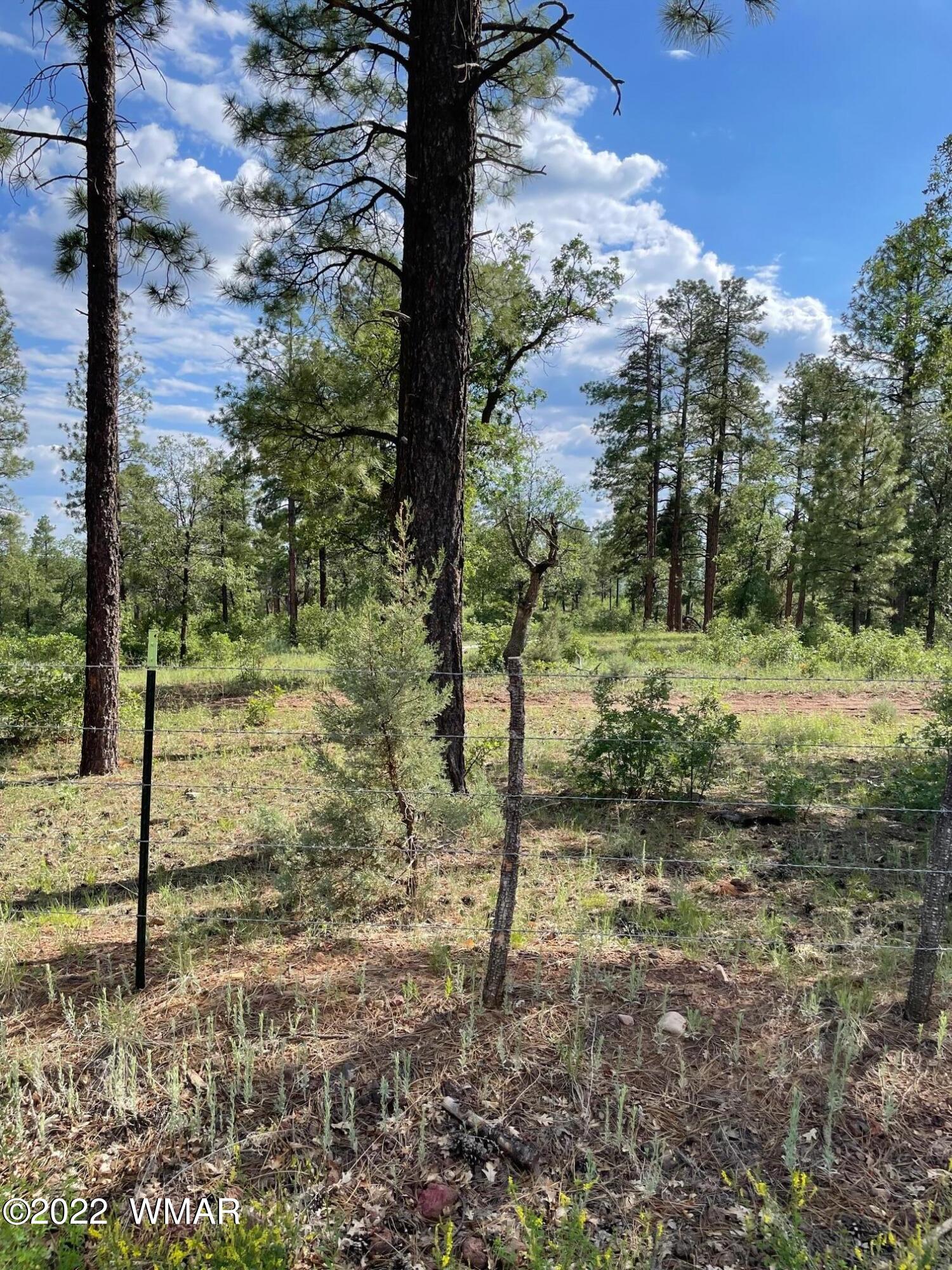 1800 West Rim Road Lakeside, AZ 85929 - Photo 8 of 9