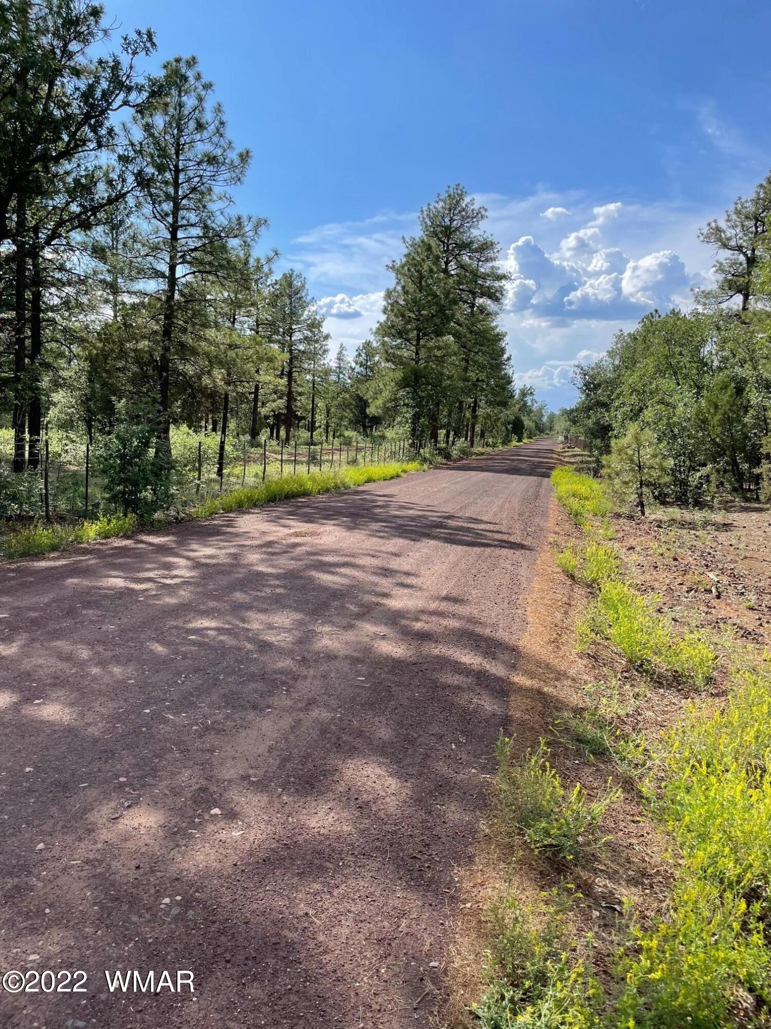 1800 West Rim Road Lakeside, AZ 85929 - Photo 9 of 9