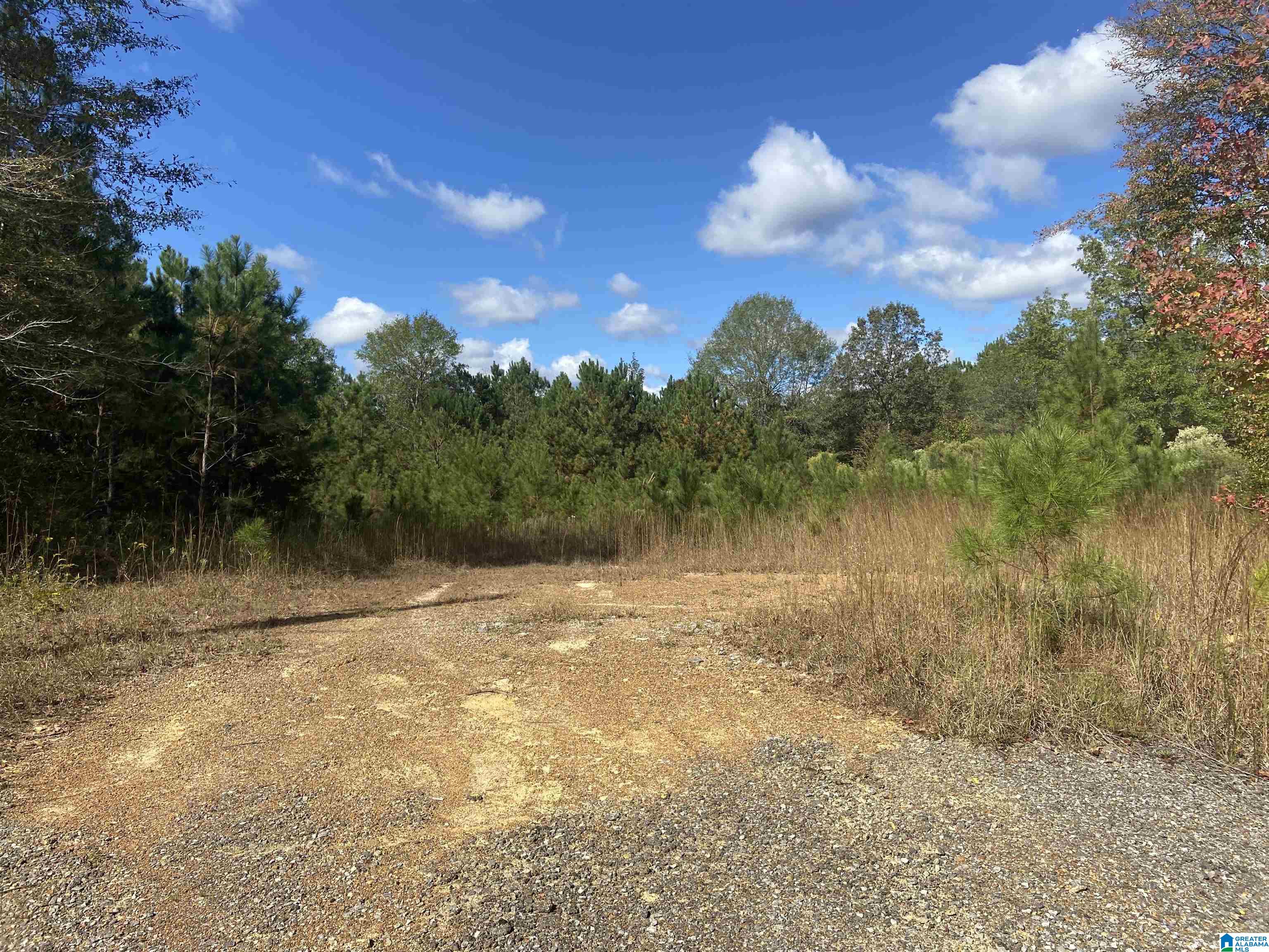 563 Mill Creek Road, Unit C Nauvoo, AL 35578 - Photo 1 of 2