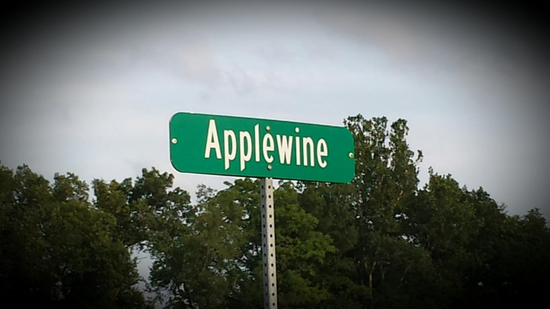 Lot #6 Applewine Road Middleville, MI 49333 - Photo 1 of 12 20150819_232006