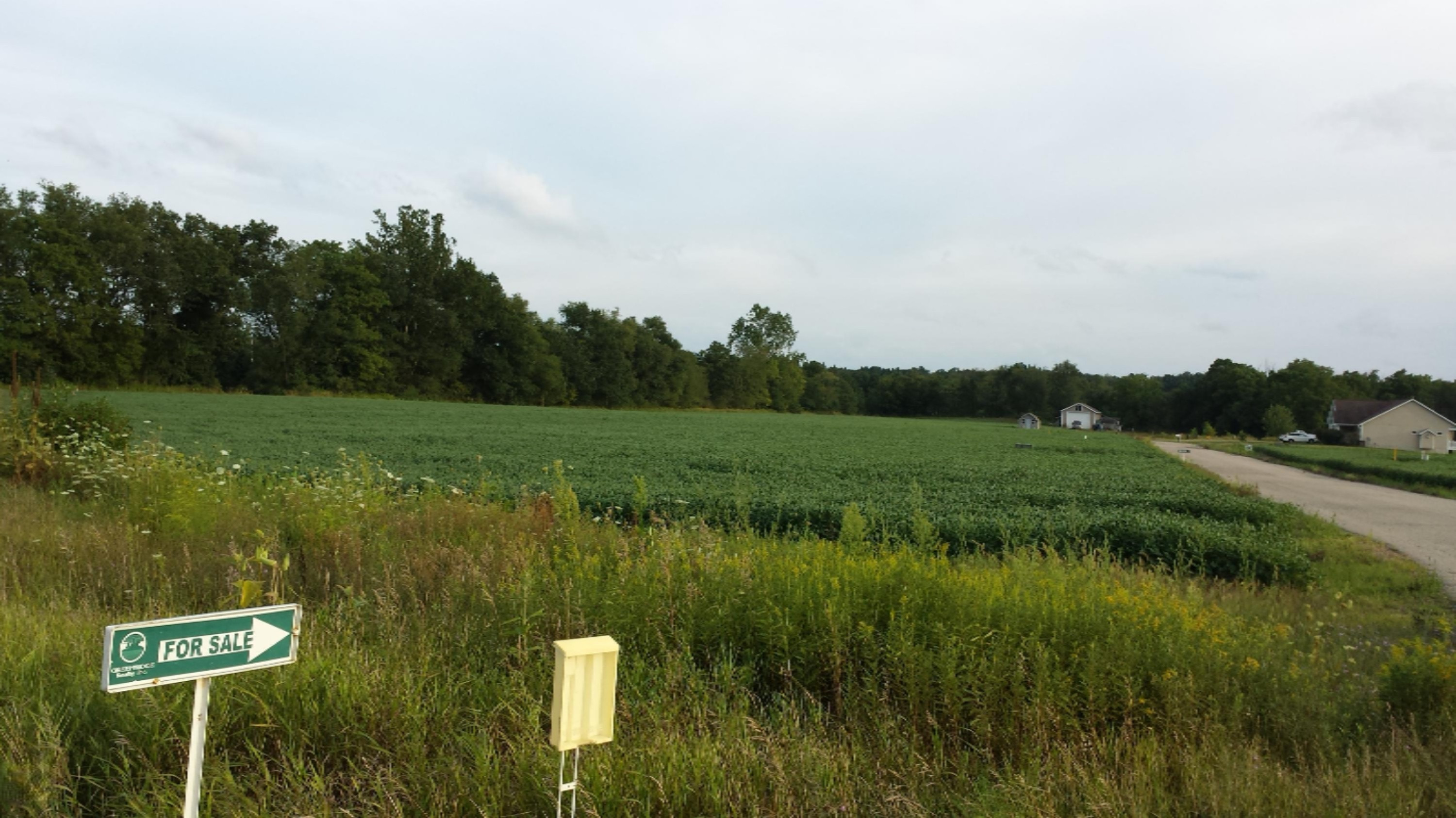 Lot #6 Applewine Road Middleville, MI 49333 - Photo 8 of 12 20150819_192227