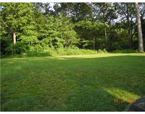 Yard/Garden.