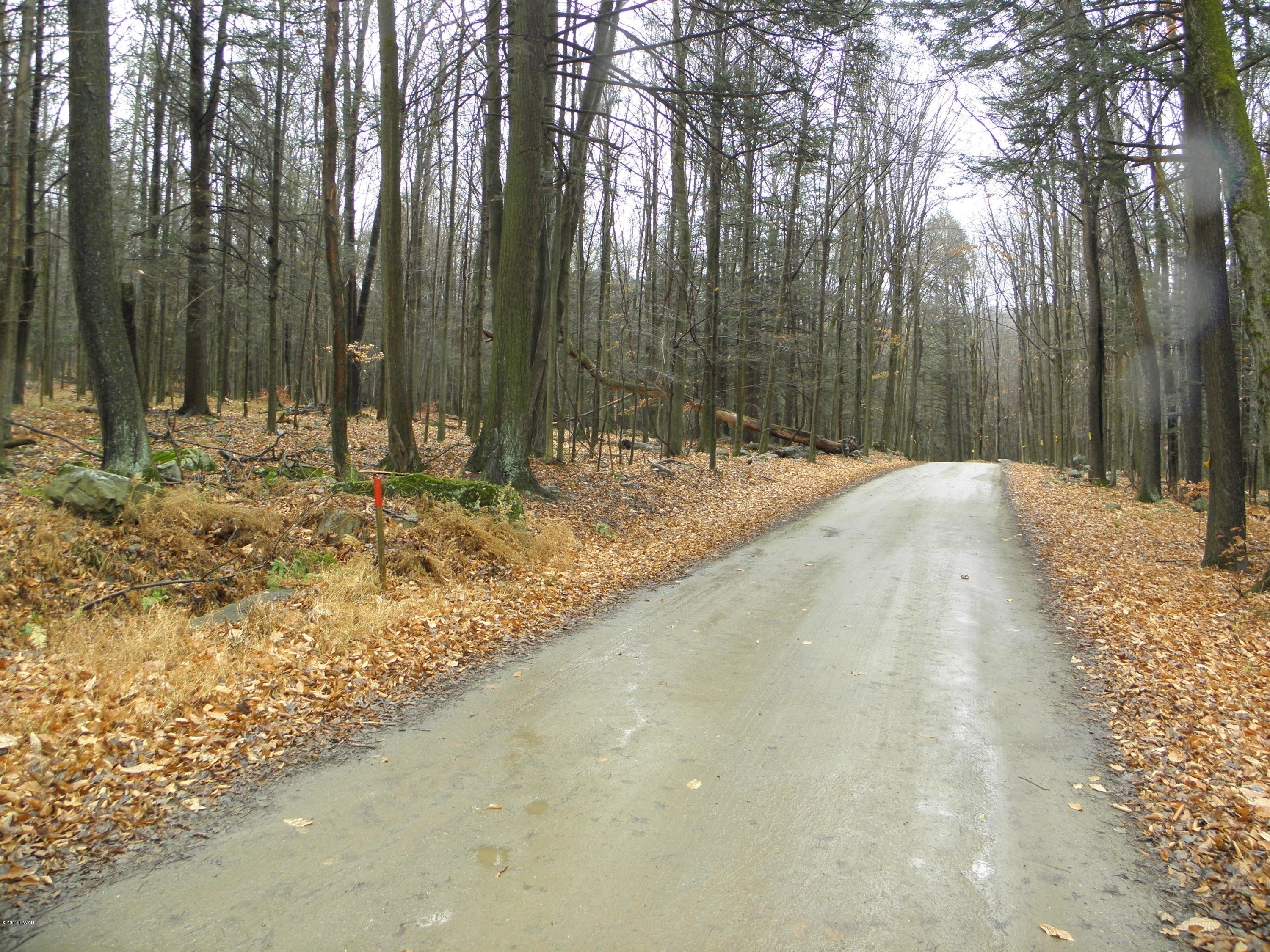 Phillips Road Gouldsboro, PA 18424 - Photo 6 of 6