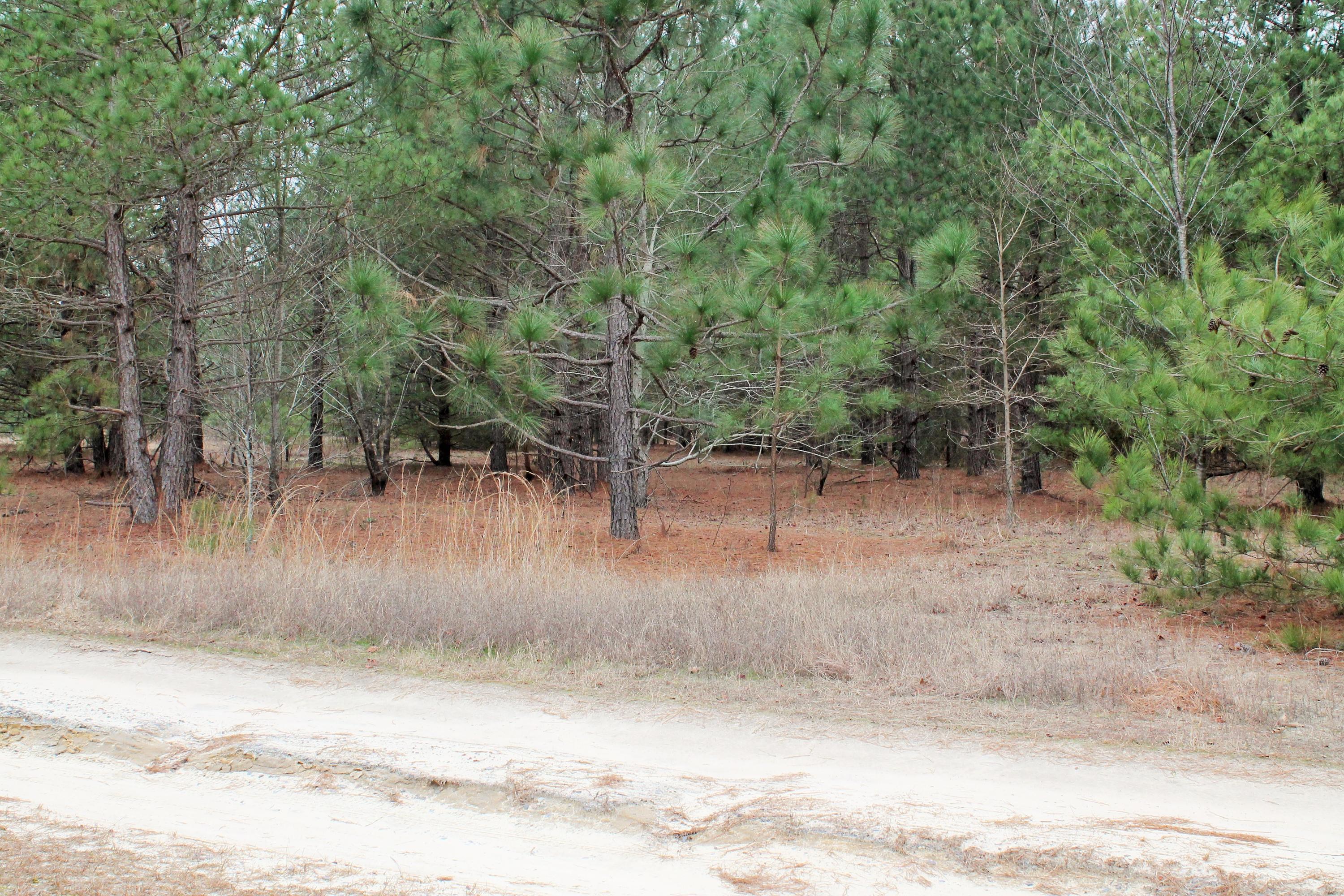 246 Split Rail Road Whispering Pines, NC 28327 - Photo 1 of 5 2.01 Acres Split Rail Rd