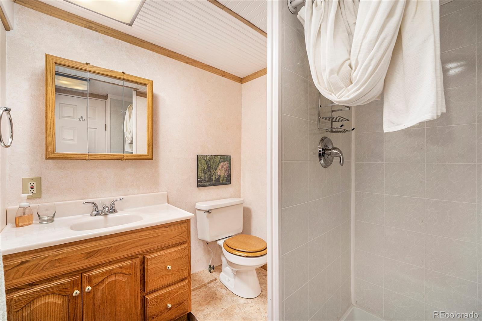 867 Long Road Idaho Springs, CO 80452 - Photo 23 of 28 Gallery Image 23