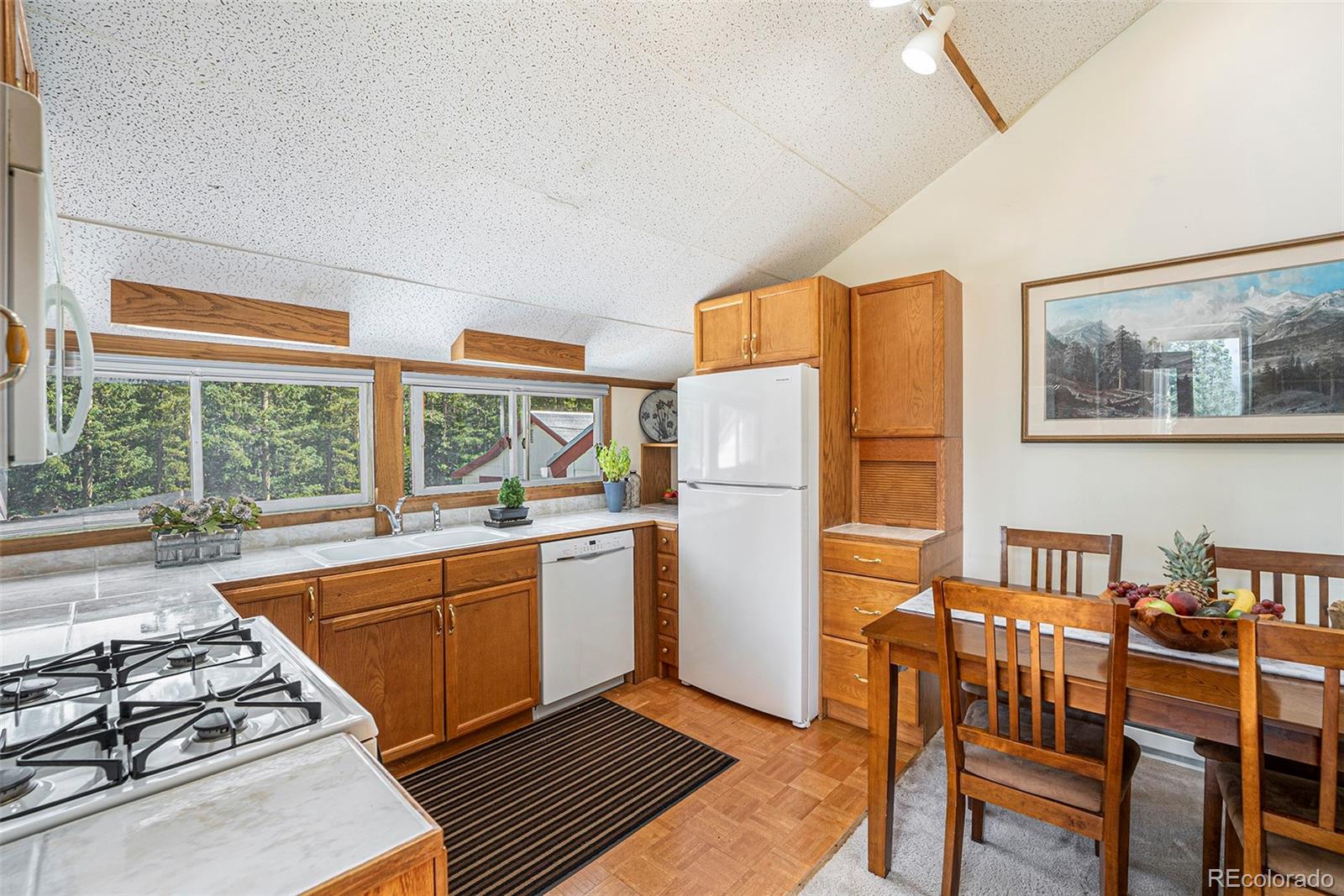 867 Long Road Idaho Springs, CO 80452 - Photo 4 of 28 Gallery Image 4