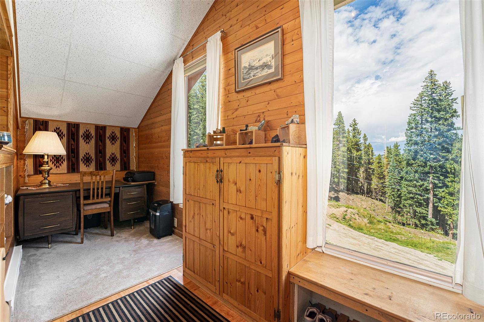 867 Long Road Idaho Springs, CO 80452 - Photo 7 of 28 Gallery Image 7