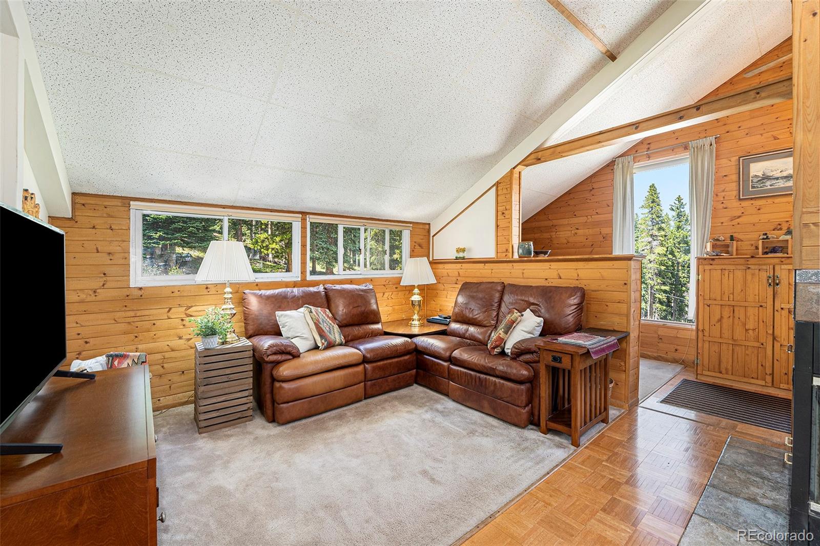 867 Long Road Idaho Springs, CO 80452 - Photo 9 of 28 Gallery Image 9
