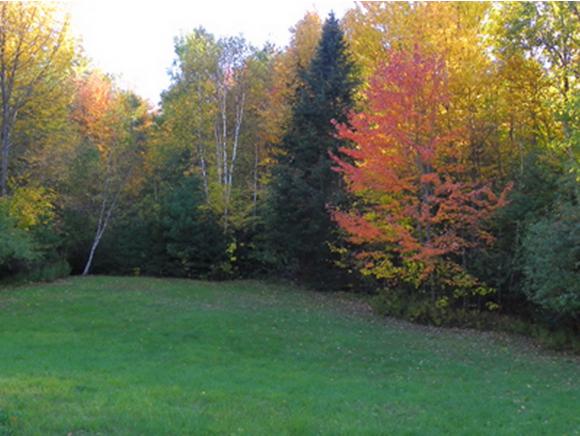 40 Bowles Road Benton, NH 03785 - Photo 32 of 36