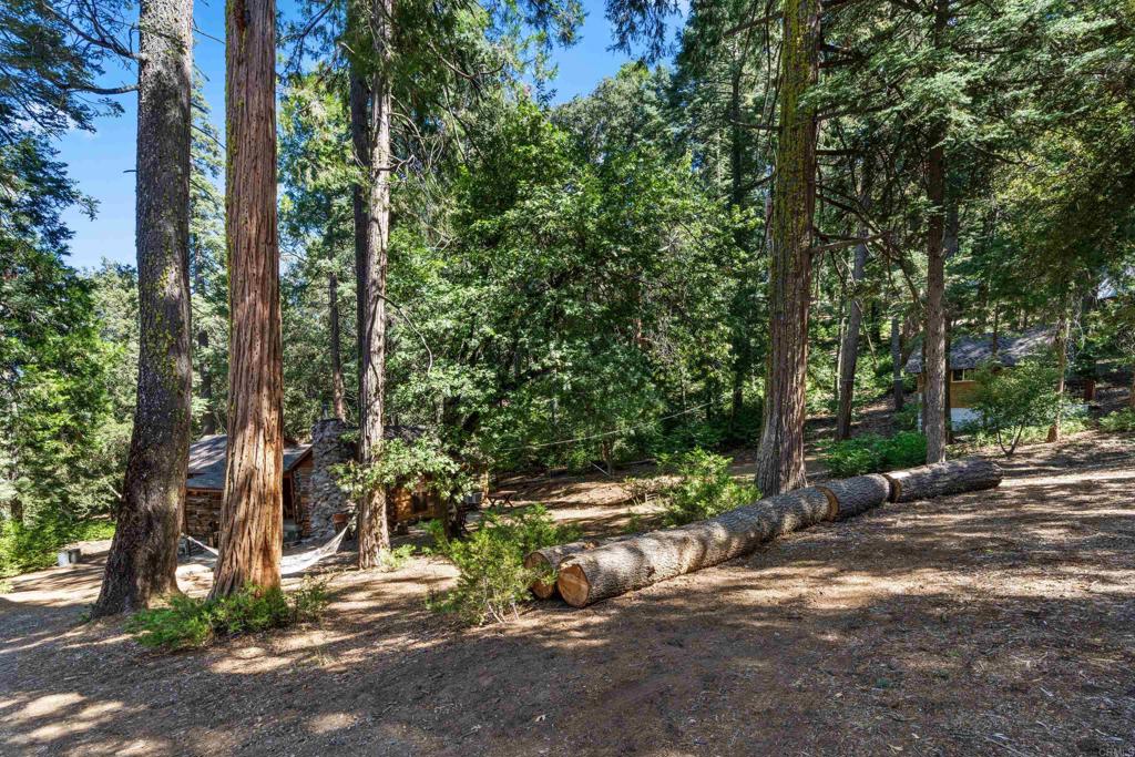 22194 Crestline Road Palomar Mountain, CA 92060 - Photo 31 of 75 a backyard of a house with lots of green space