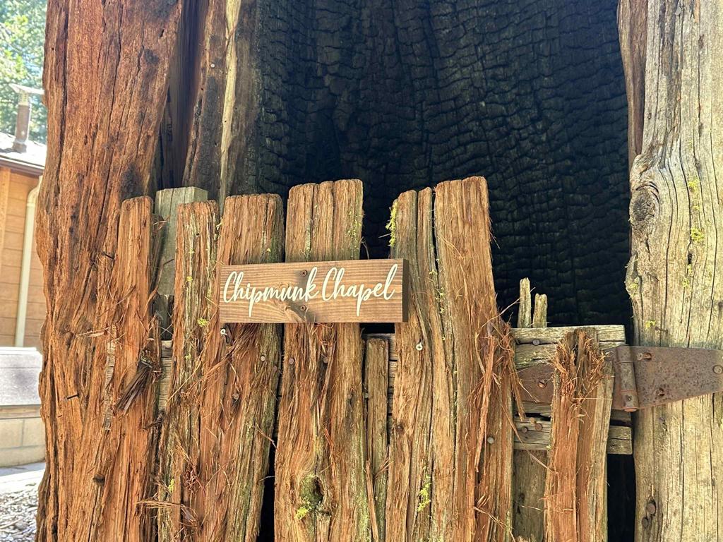 22194 Crestline Road Palomar Mountain, CA 92060 - Photo 37 of 75 Chipmunk Chapel is a lightening strike, hollowed out tree now little hobbit house...