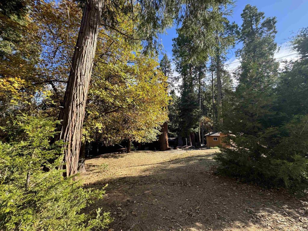 22194 Crestline Road Palomar Mountain, CA 92060 - Photo 38 of 75 a view of outdoor space and trees