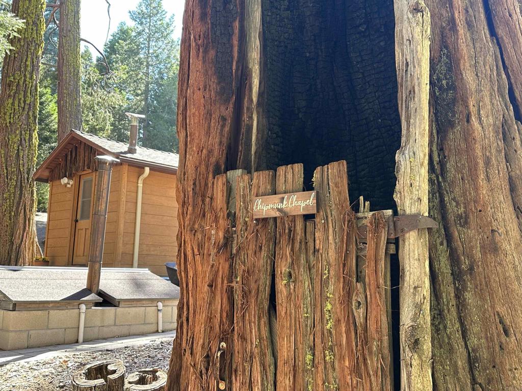 22194 Crestline Road Palomar Mountain, CA 92060 - Photo 39 of 75 Such a fun place for the kids to explore.