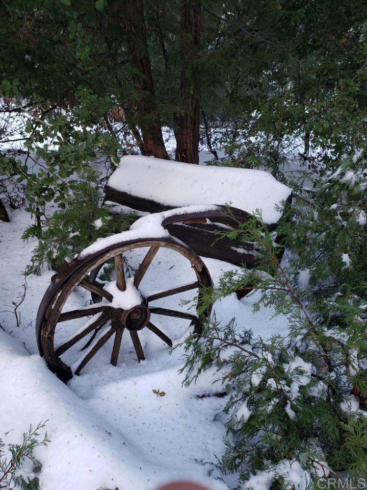 22194 Crestline Road Palomar Mountain, CA 92060 - Photo 64 of 75