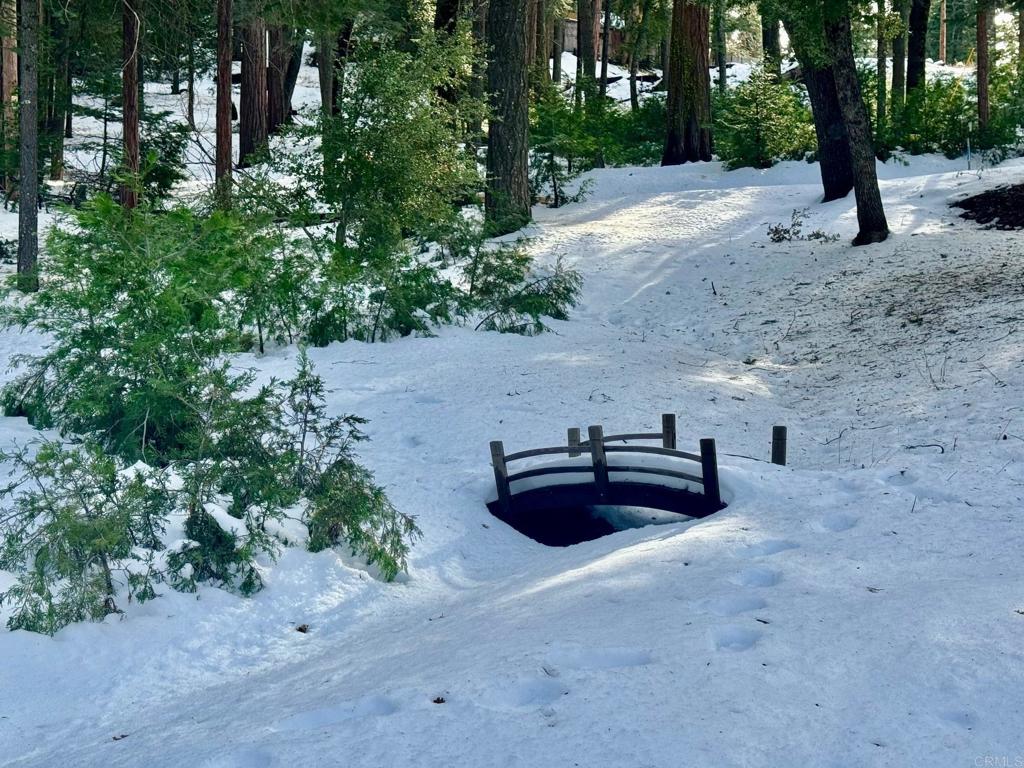 22194 Crestline Road Palomar Mountain, CA 92060 - Photo 68 of 75 a view of a backyard with plants and trees