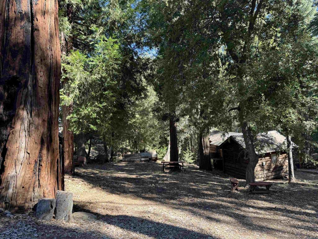 22194 Crestline Road Palomar Mountain, CA 92060 - Photo 69 of 75