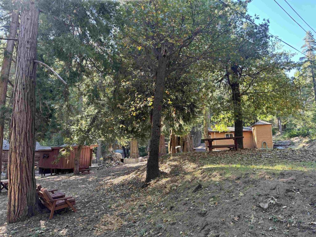 22194 Crestline Road Palomar Mountain, CA 92060 - Photo 70 of 75 a view of a backyard with trees