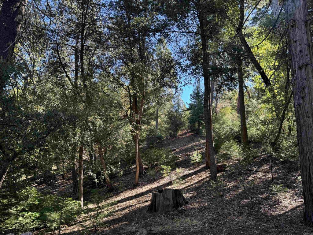 22194 Crestline Road Palomar Mountain, CA 92060 - Photo 72 of 75 a view of outdoor space and yard