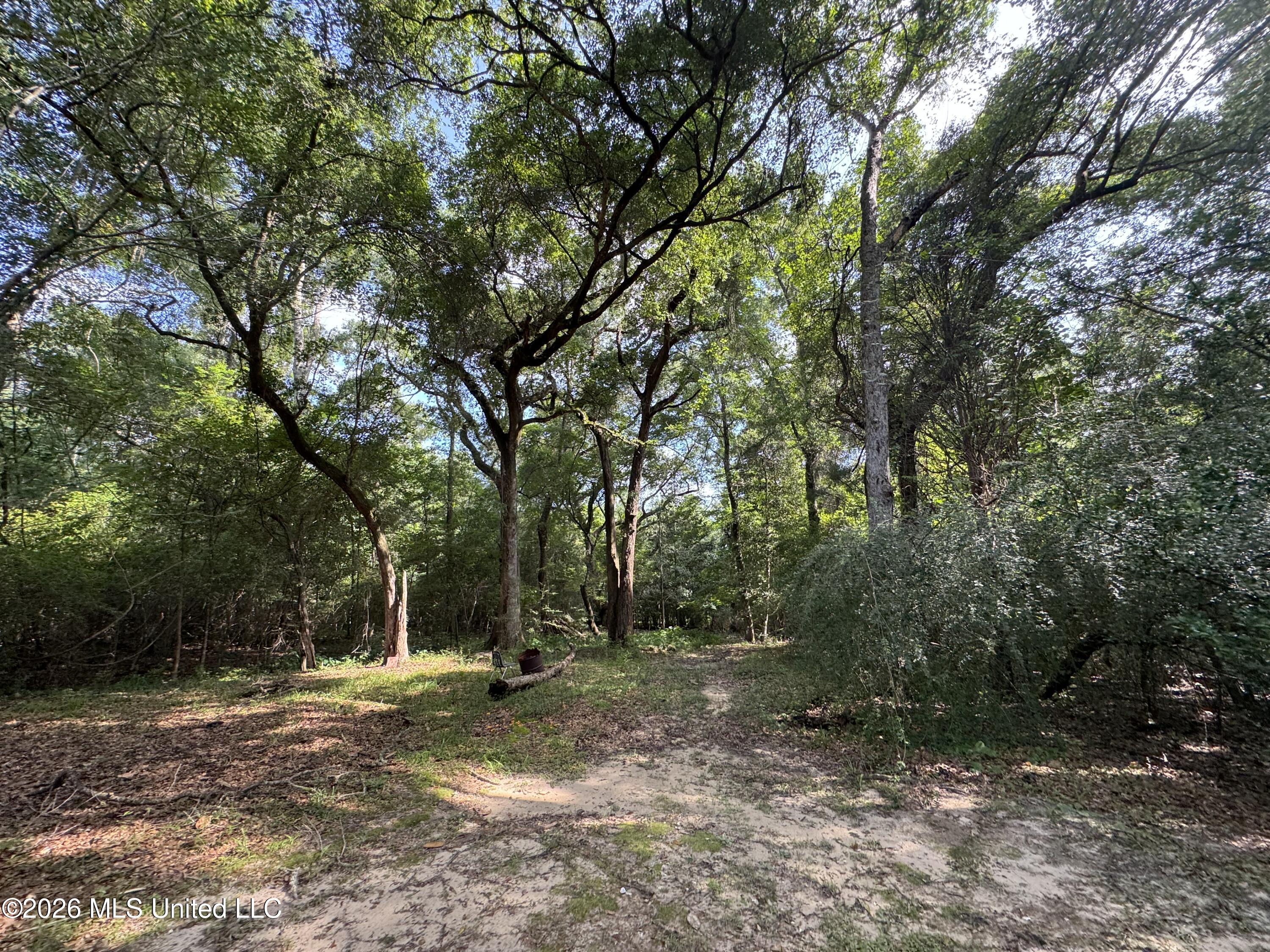 2980 Dwyer Branch Road Vancleave, MS 39565 - Photo 16 of 106 IMG_2624