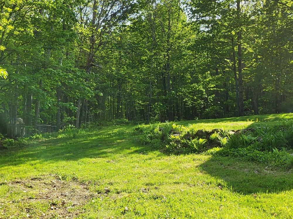 254 Chicken Street Starks, ME 04911 - Photo 36 of 57 20230522_165147_resized