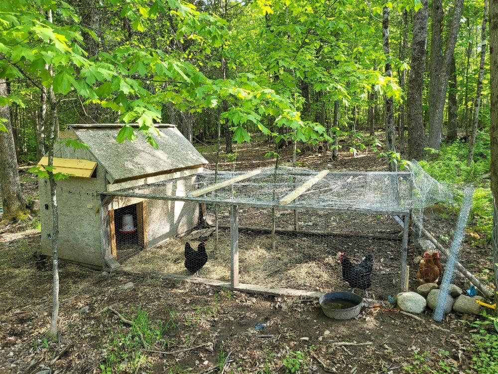 254 Chicken Street Starks, ME 04911 - Photo 37 of 57 20230522_165310_resized