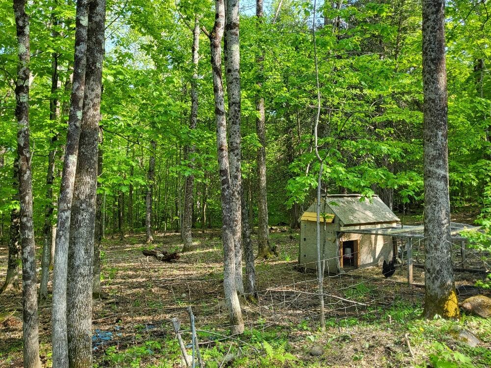 254 Chicken Street Starks, ME 04911 - Photo 38 of 57 20230522_165253_resized