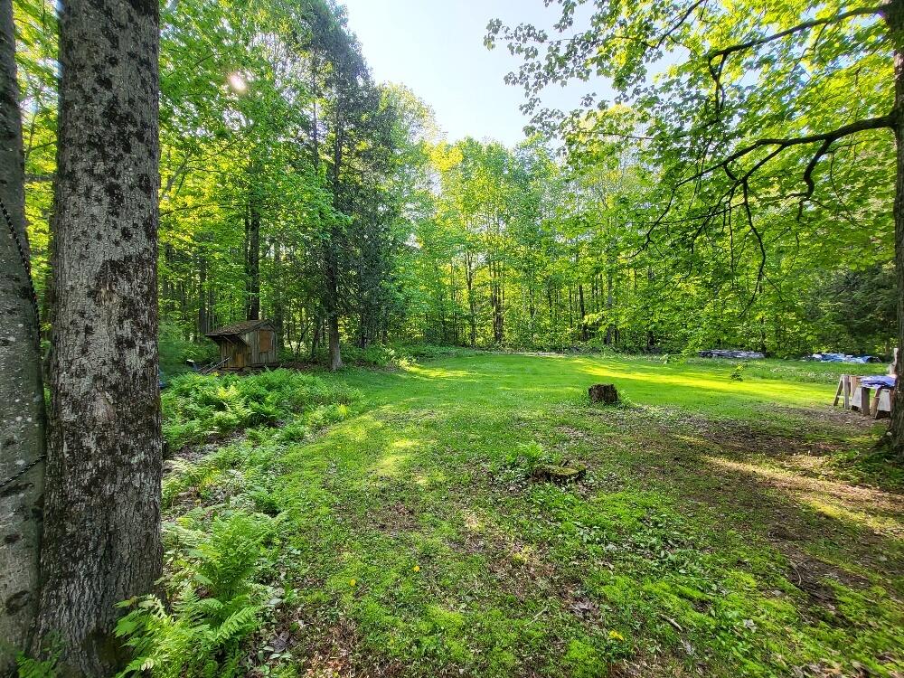 254 Chicken Street Starks, ME 04911 - Photo 43 of 57 20230522_165400_resized