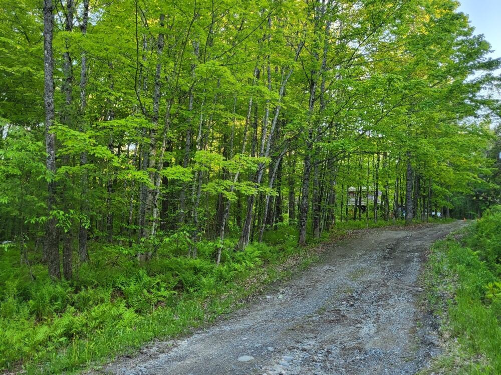 254 Chicken Street Starks, ME 04911 - Photo 52 of 57 20230522_184020_resized