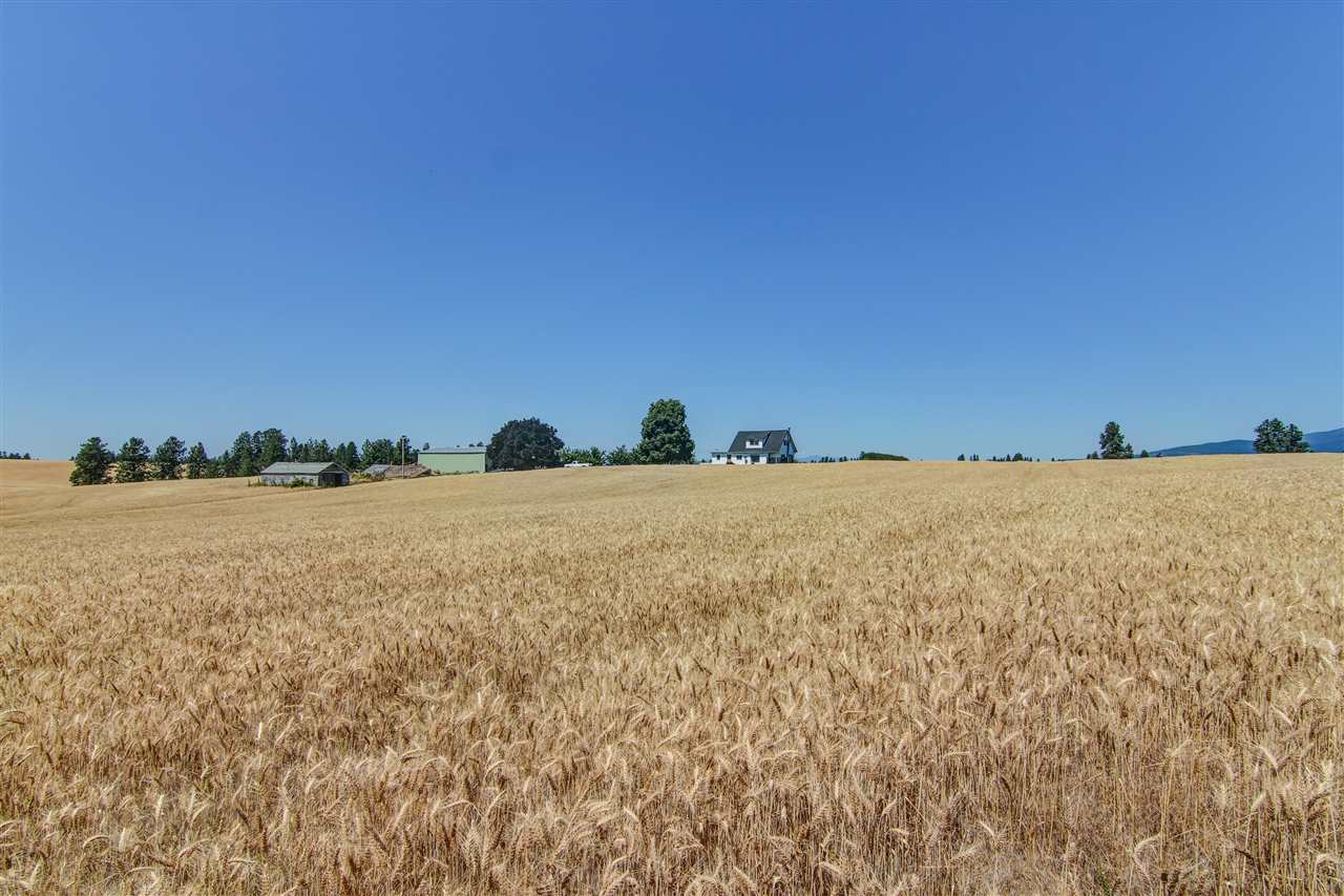 13311 East Pleasant Prairie Road Spokane, WA 99217 - Photo 3 of 20