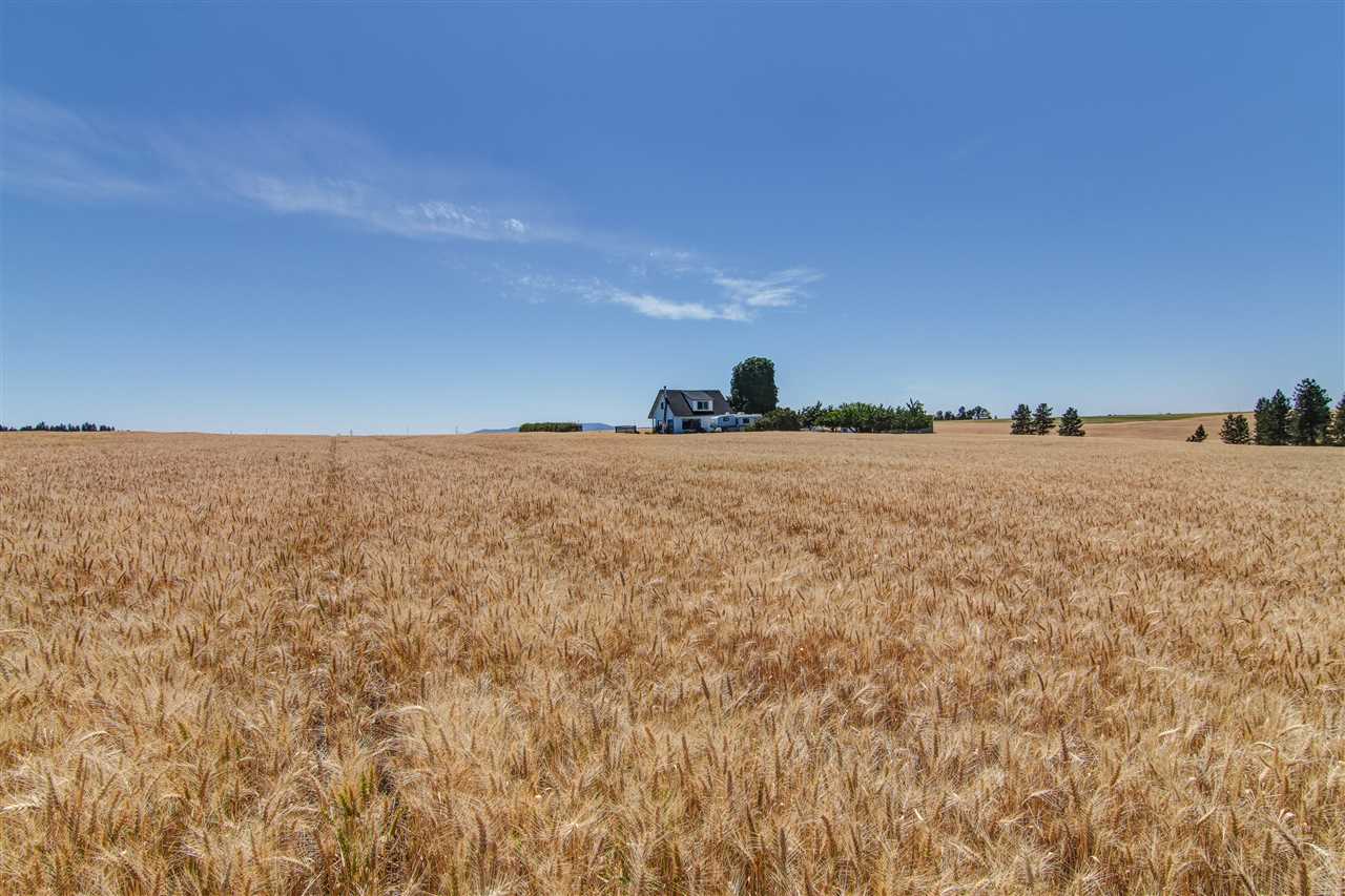 13311 East Pleasant Prairie Road Spokane, WA 99217 - Photo 4 of 20