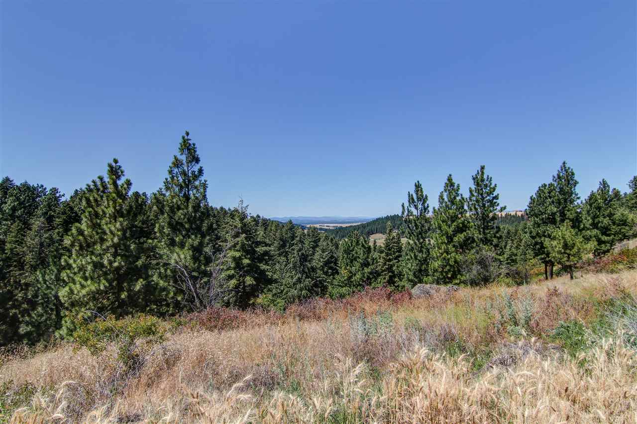 13311 East Pleasant Prairie Road Spokane, WA 99217 - Photo 5 of 20