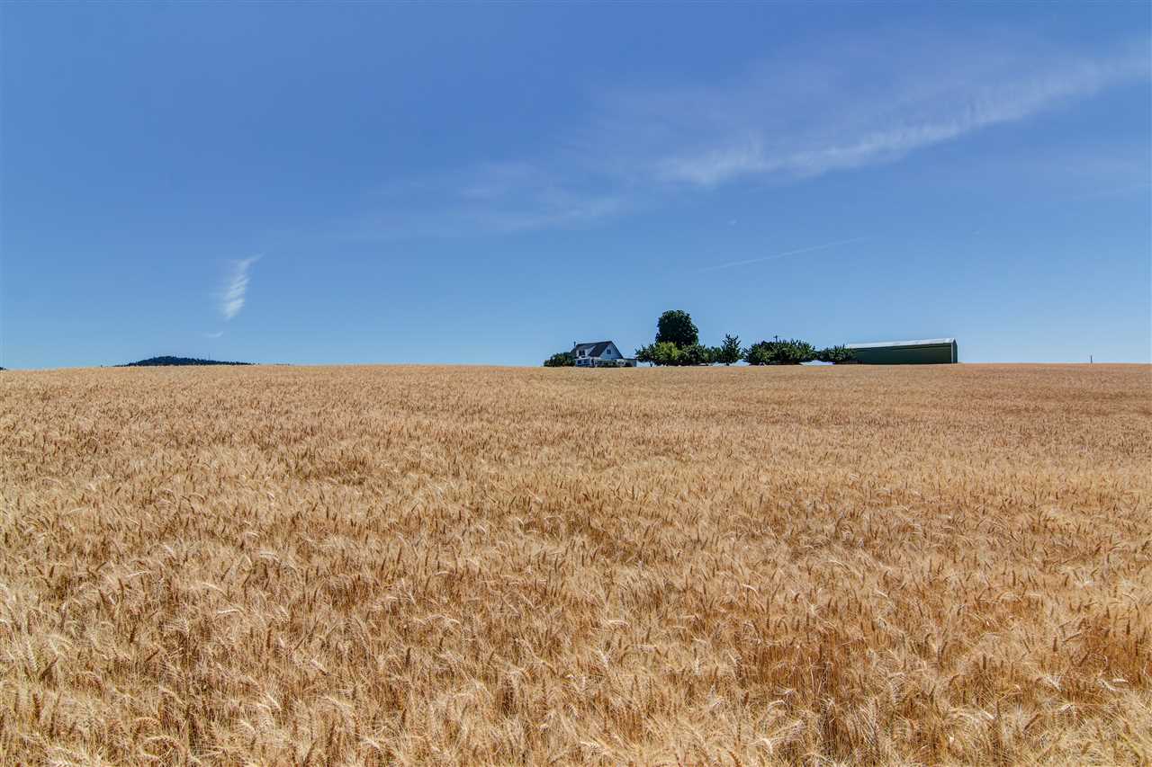 13311 East Pleasant Prairie Road Spokane, WA 99217 - Photo 6 of 20