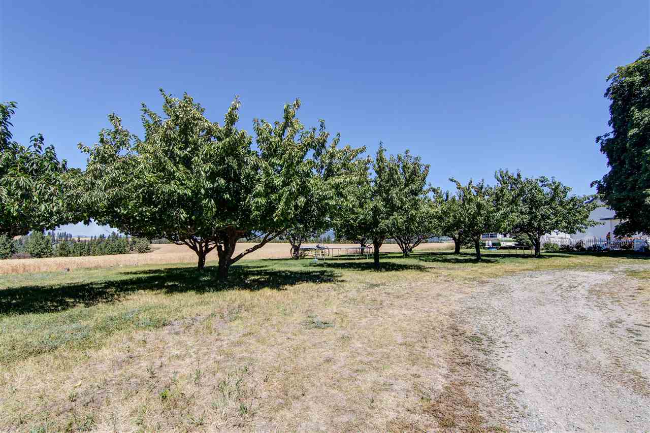 13311 East Pleasant Prairie Road Spokane, WA 99217 - Photo 7 of 20