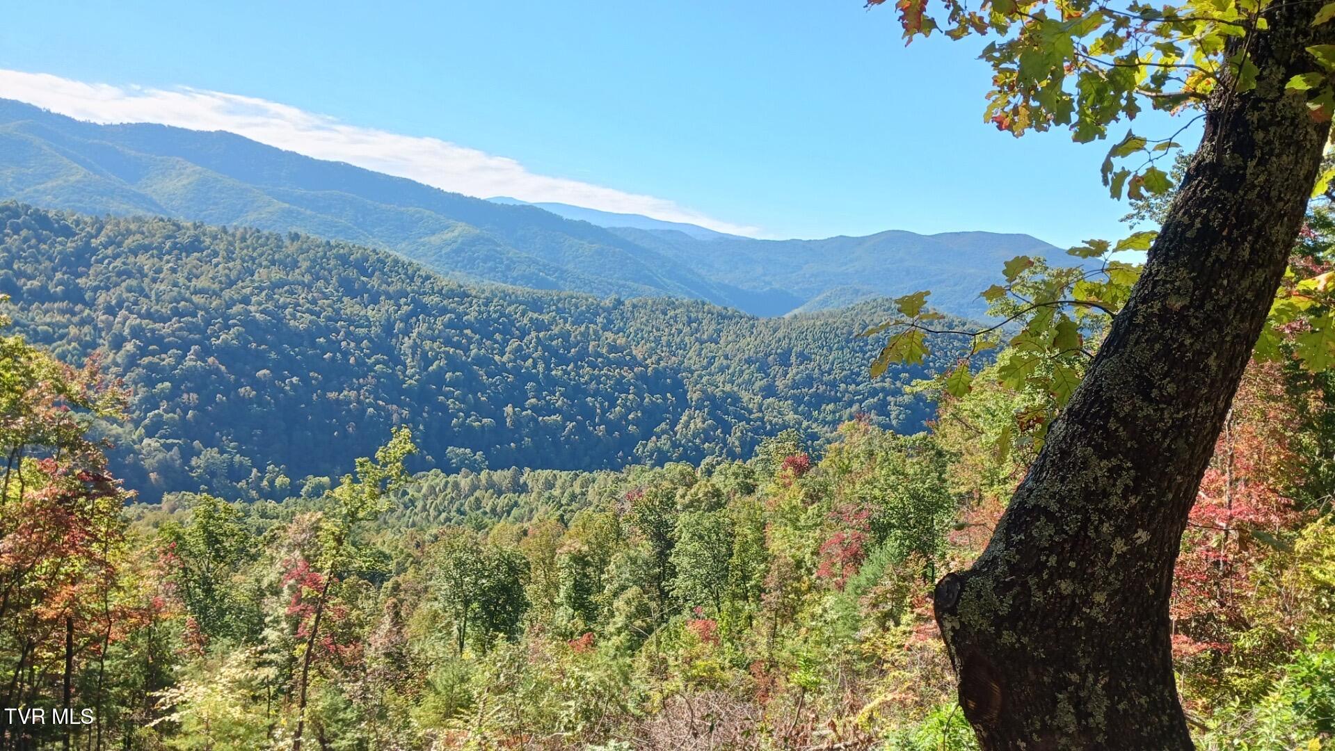 Tbd Tbd Rattlesnake Ridge, Unit 19 & 31 Mountain City, TN 37683 - Photo 2 of 6 Rattlesnake Ridge 2
