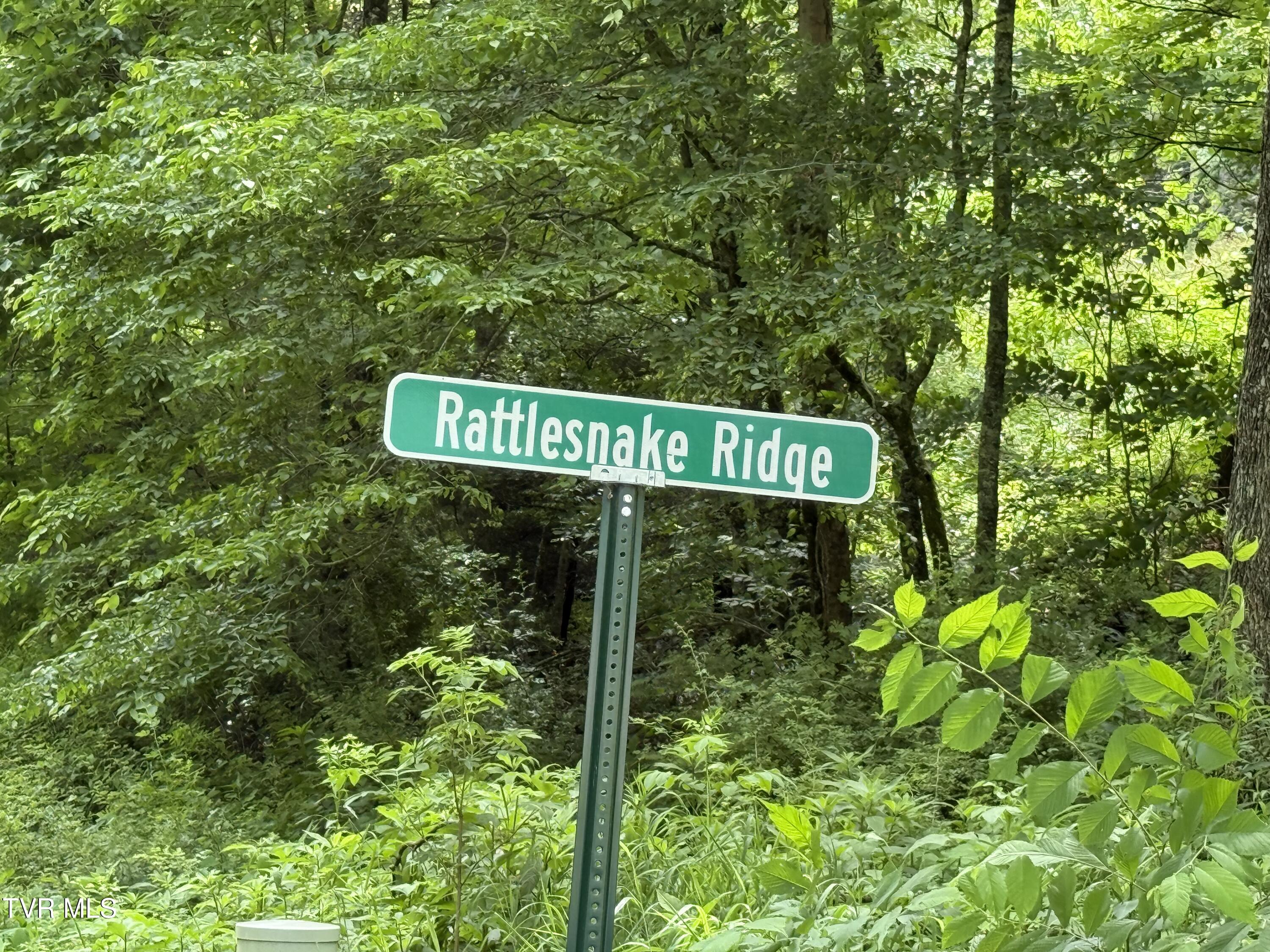 Tbd Tbd Rattlesnake Ridge, Unit 19 & 31 Mountain City, TN 37683 - Photo 4 of 6 Rattlesnake Ridge 4