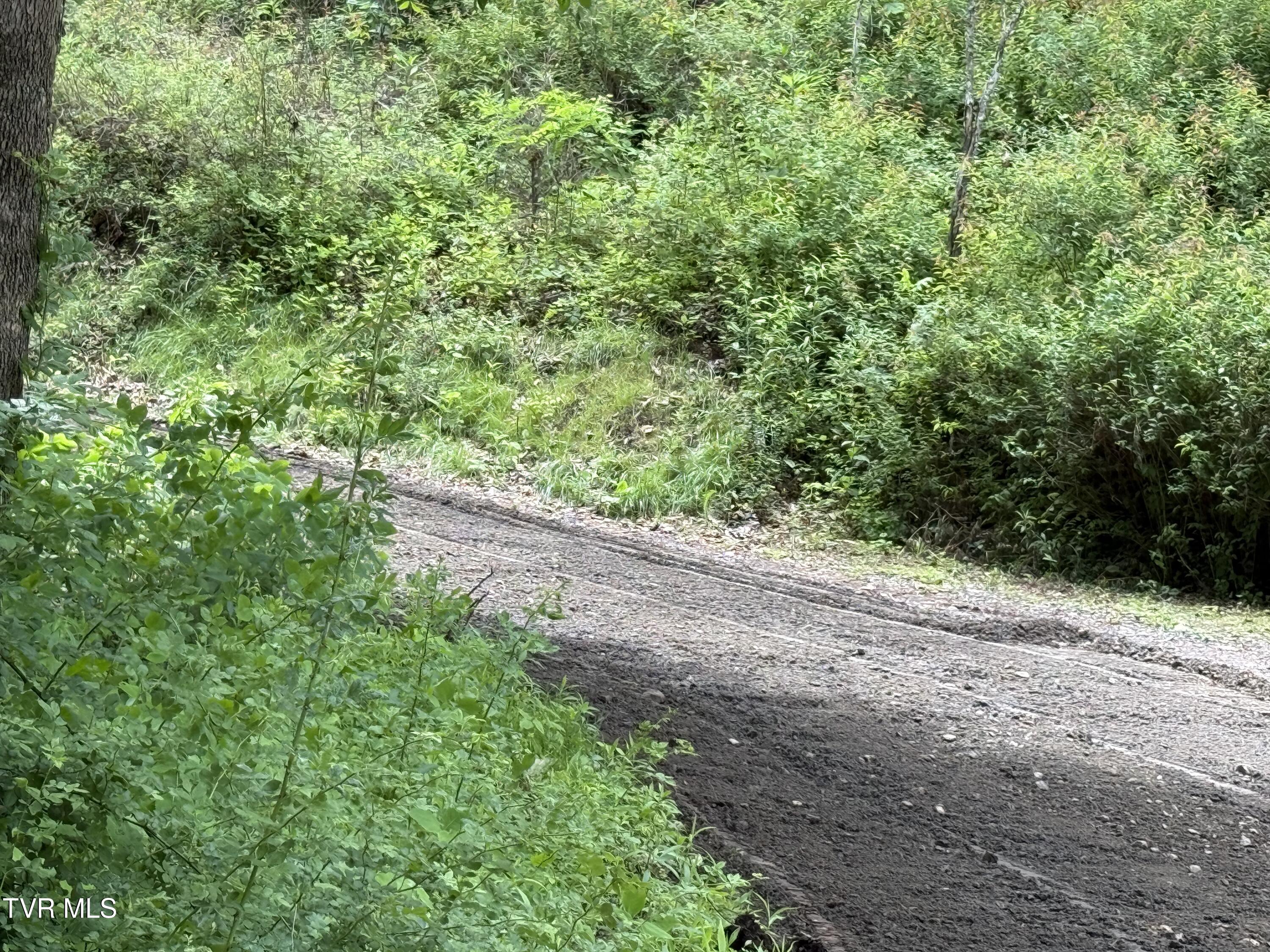 Tbd Tbd Rattlesnake Ridge, Unit 19 & 31 Mountain City, TN 37683 - Photo 5 of 6 Rattlesnake Ridge 5