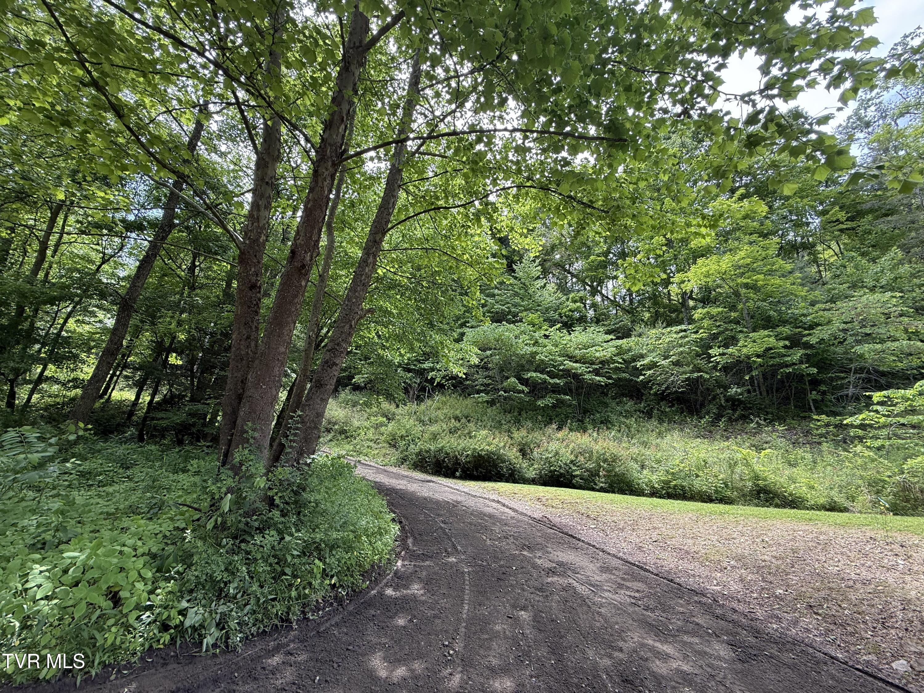 Tbd Tbd Rattlesnake Ridge, Unit 19 & 31 Mountain City, TN 37683 - Photo 6 of 6 Rattlesnake Ridge 6