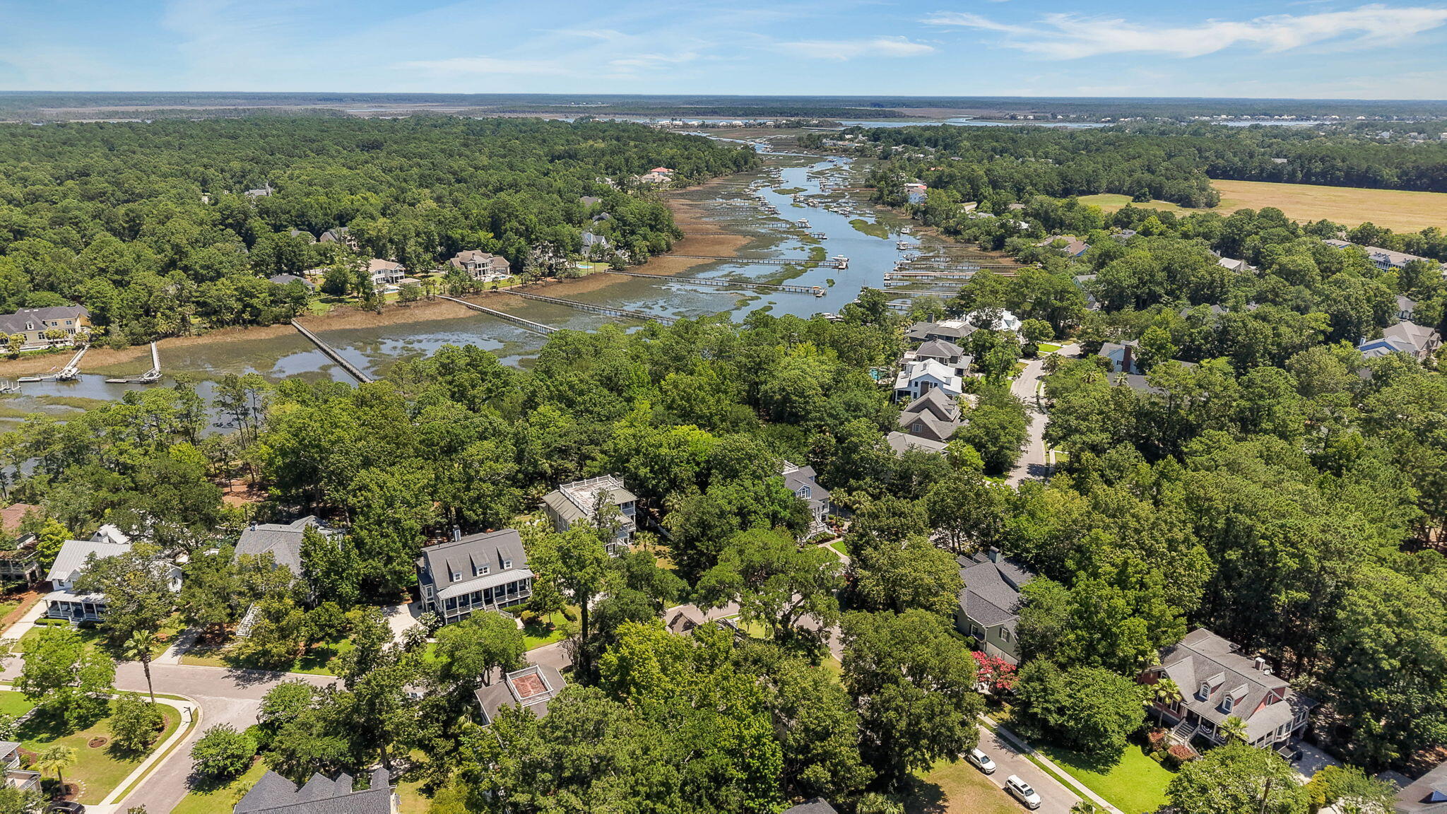 3569 Henrietta Hartford Road Mount Pleasant, SC 29466 - Photo 58 of 58 4-web-or-mls-Barclay Media Co. -74