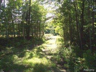6830 Chambers Road Millington, MI 48746 - Photo 19 of 25 property- great hunting