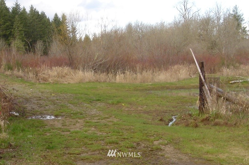 93 Heise Road South Elma, WA 98541 - Photo 1 of 1 Gallery Image 1