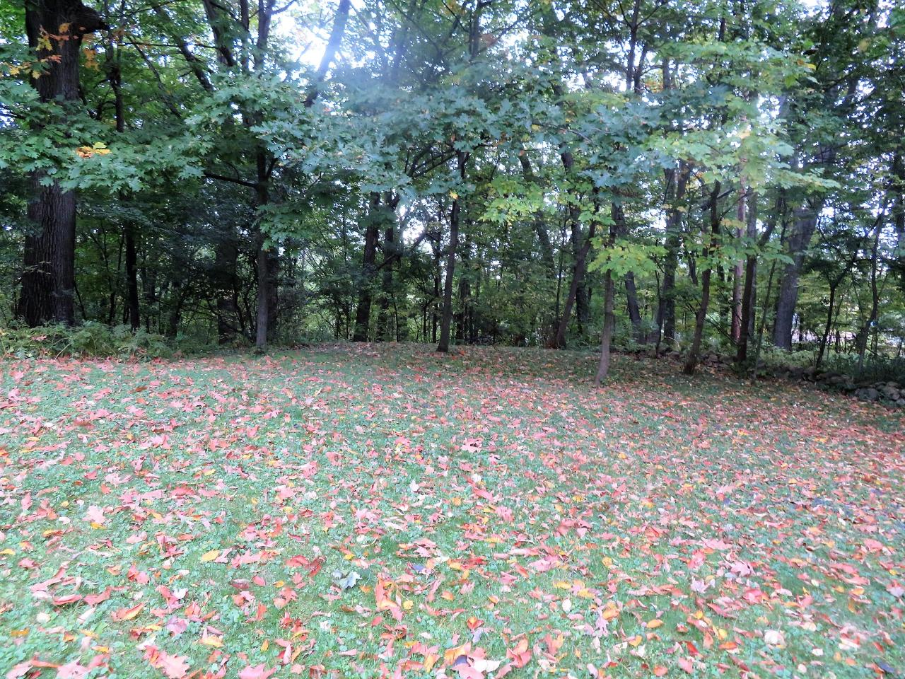 228 Hemlock Street Rhinelander, WI 54501 - Photo 25 of 32 Gallery Image 25